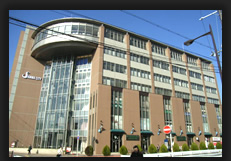 �T�����V�e�B�[�@729���@10��